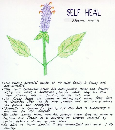 Self Heal