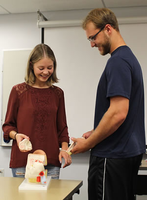 Wayne College students, Alyssa Leach and Titus Bixler disassemble the advanced ear model to take a closer look at the ear drum and makings of the inner ear. 